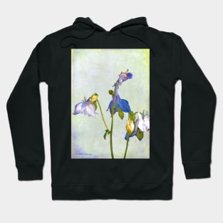 Collecting Columbine Hoodie